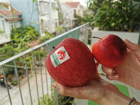 leading to a brand new <strong>apple</strong> variety being named. . Asian apple seed